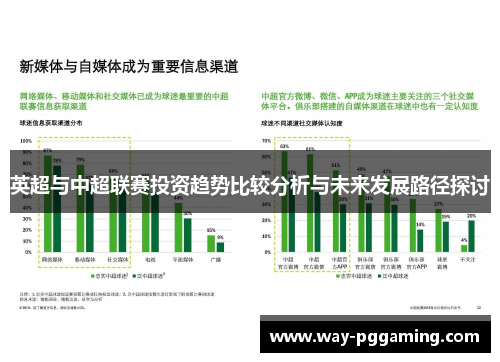 英超与中超联赛投资趋势比较分析与未来发展路径探讨