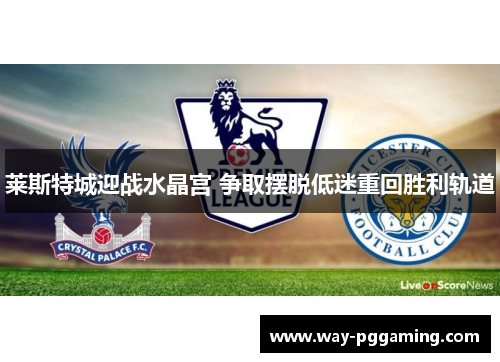 莱斯特城迎战水晶宫 争取摆脱低迷重回胜利轨道