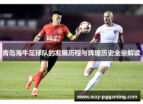 青岛海牛足球队的发展历程与辉煌历史全景解读