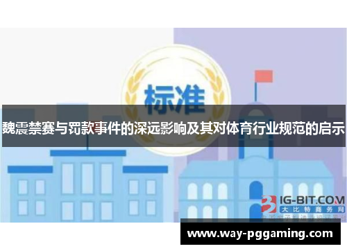 魏震禁赛与罚款事件的深远影响及其对体育行业规范的启示